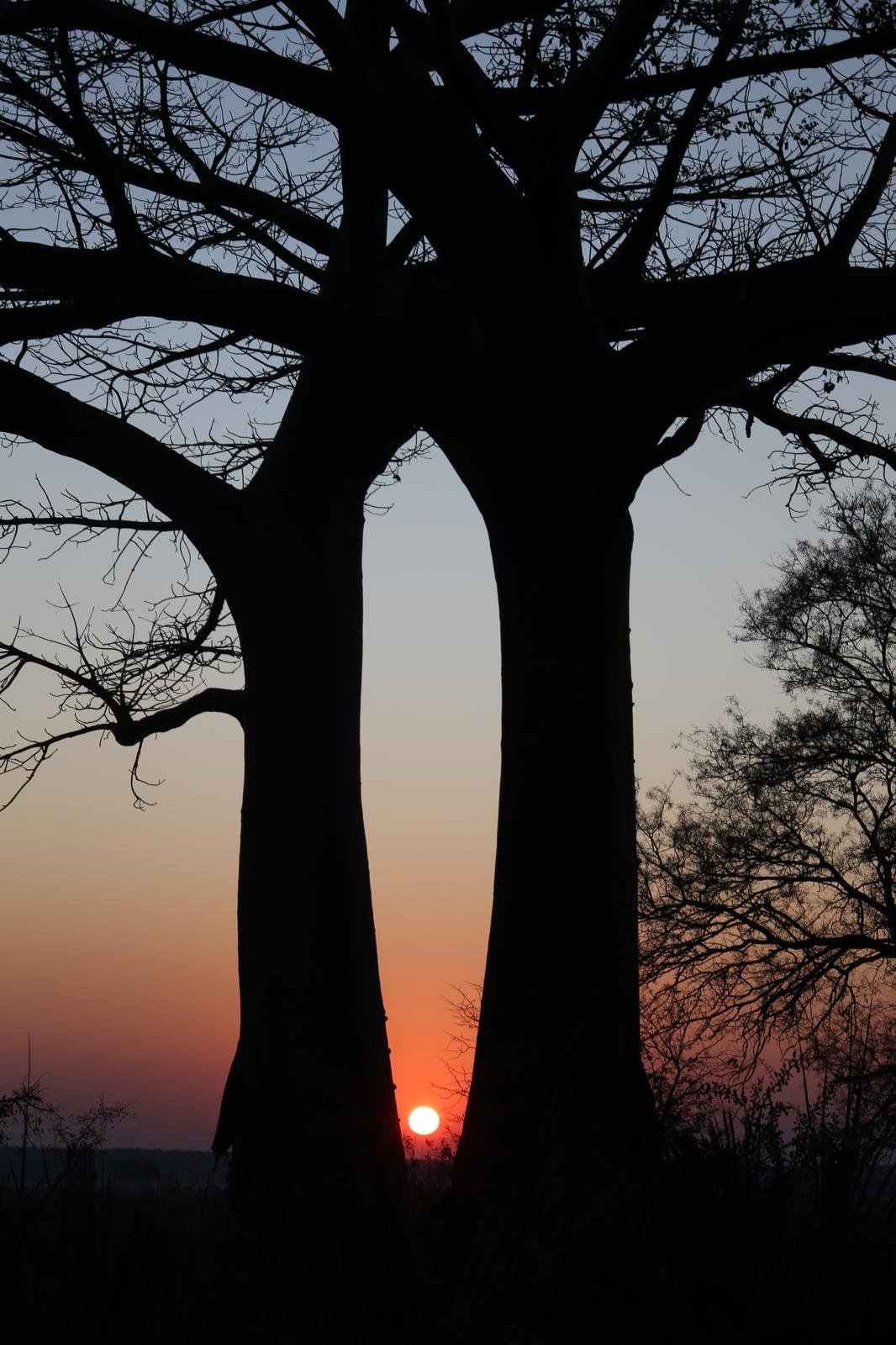 Horse-riding safari experience in Namibia