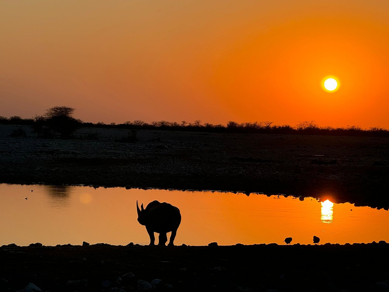 Desert & Wildlife Private Air representative Namibia journey