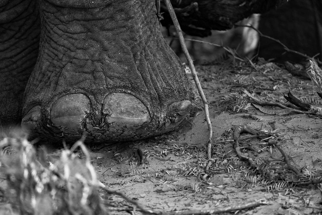 Conservation visits experience in Namibia
